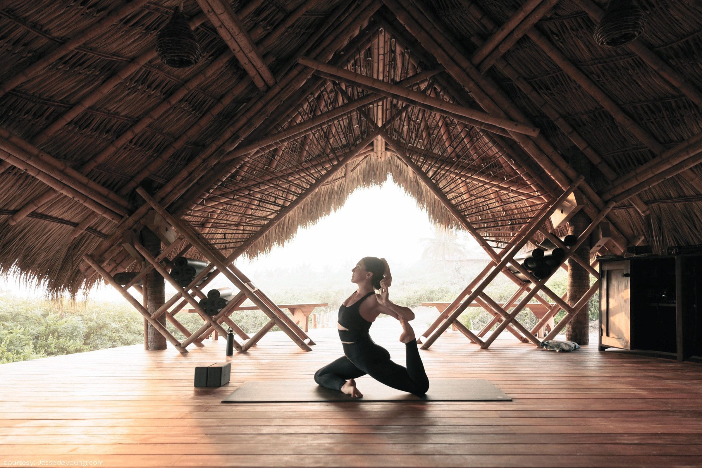 Eco Yoga Sanctuary